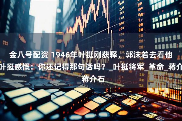 金八号配资 1946年叶挺刚获释，郭沫若去看他，叶挺感慨：你还记得那句话吗？_叶挺将军_革命_蒋介石
