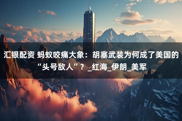 汇银配资 蚂蚁咬痛大象：胡塞武装为何成了美国的“头号敌人”？_红海_伊朗_美军