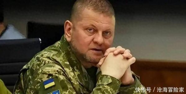 本信选配 想接替泽连斯基？乌军前总司令被爆组建政党，接触高级军官